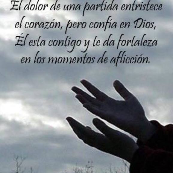 berenicecruz293